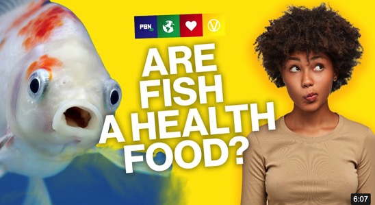 2020-07-24-is-fish-a-health-food