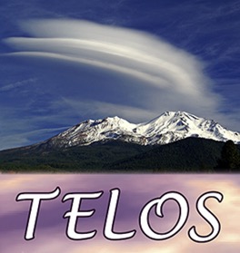 2020-11-03-telos-governing-system
