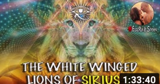 2021-12-27-white-winged-lions-sirius-b