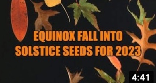 2022-10-04-equinox-fall-into-solstice