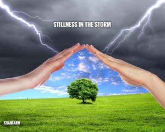 2023-02-17-stillness-in-the-storm