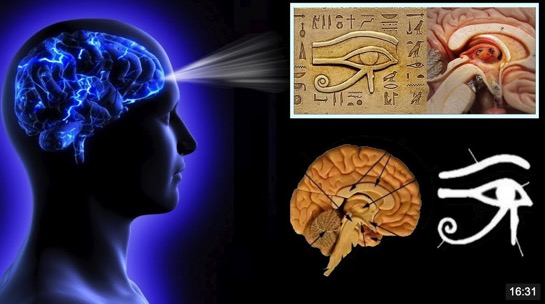 2020-03-19-pineal-gland