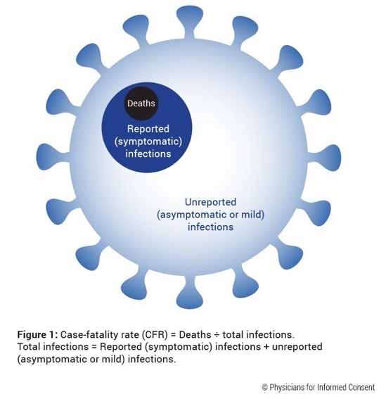 2020-07-24-physicians-for-informed-consent2