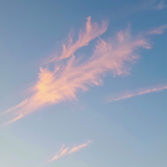 Angel+Sylphs+10-22-18+resized+for+web