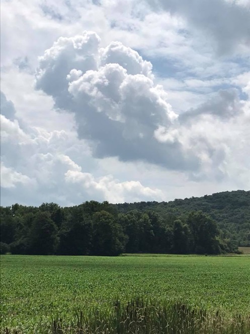 Lynne-Clouds-Above-Field-Upstate-NY