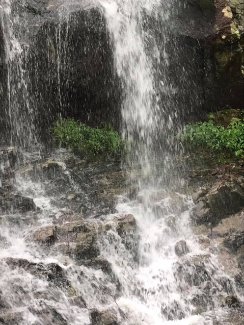 Lynne-Waterfall3-Upstate-NY