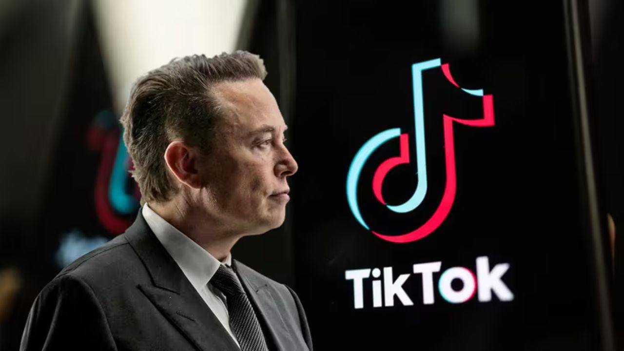 Musk and TikTok