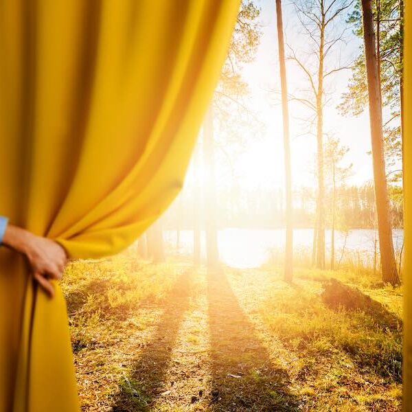 Curtain Pulled Back