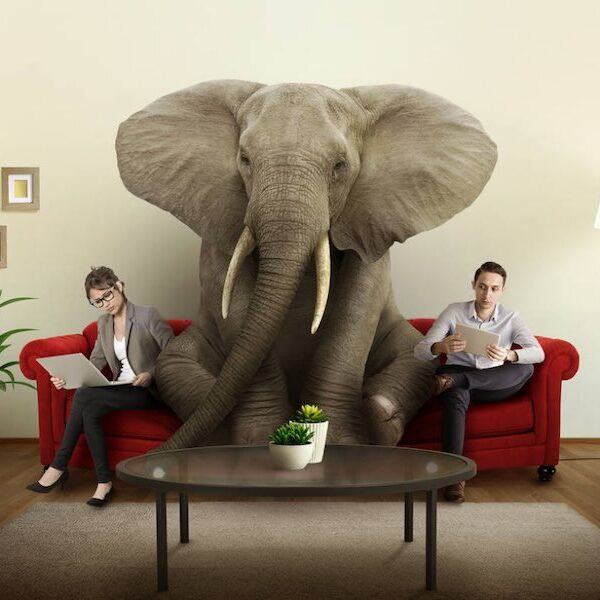 Elephant In The Room