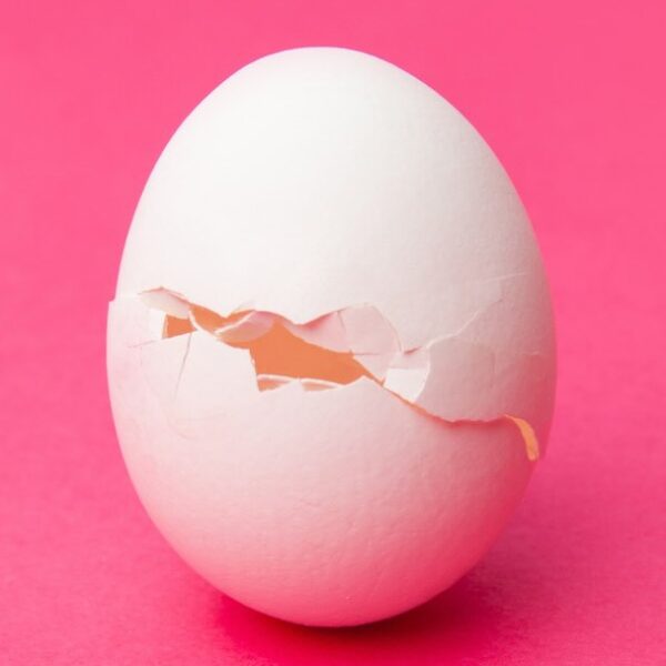 CrackedEgg