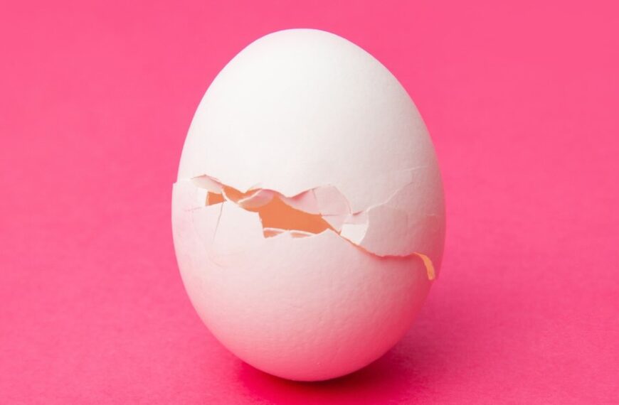 CrackedEgg